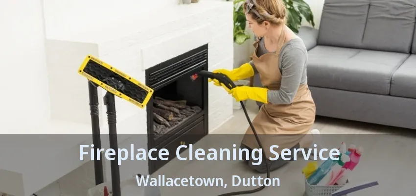 Fireplace Cleaning Service Wallacetown, Dutton - ON