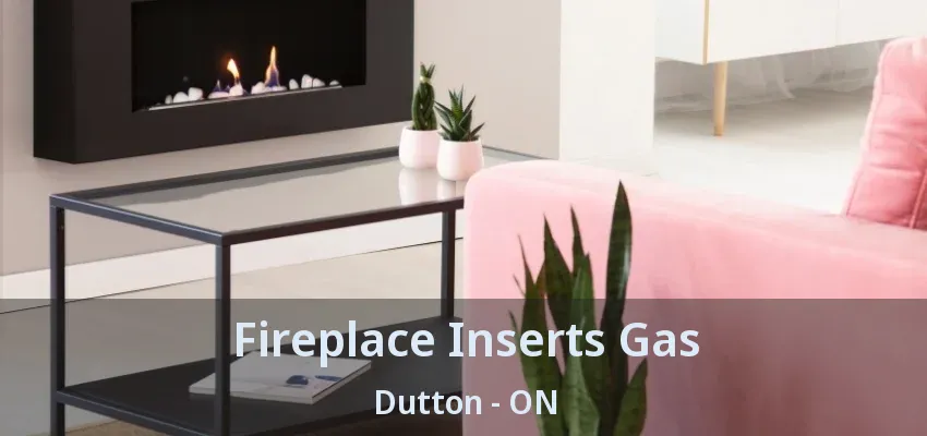 Fireplace Inserts Gas Dutton - ON