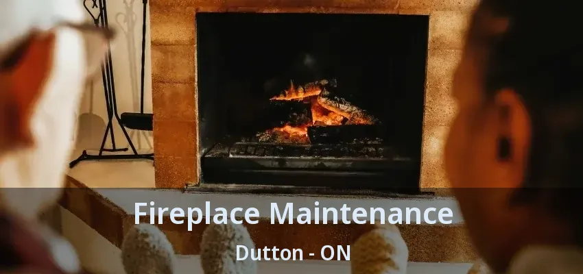 Fireplace Maintenance Dutton - ON