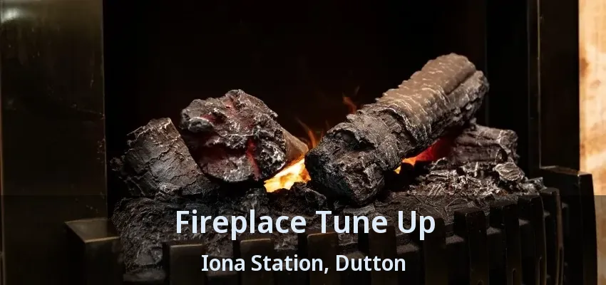 Fireplace Tune Up Iona Station, Dutton - ON