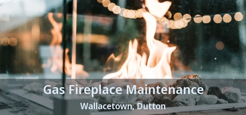 Gas Fireplace Maintenance Wallacetown, Dutton - ON