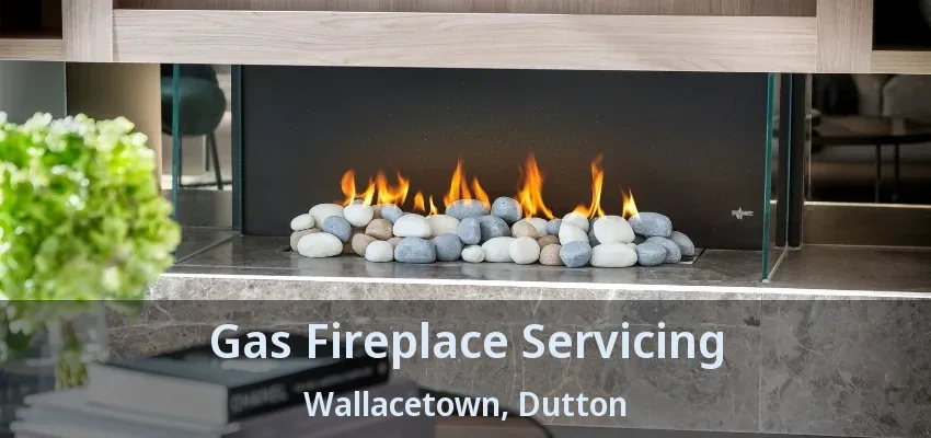 Gas Fireplace Servicing Wallacetown, Dutton - ON