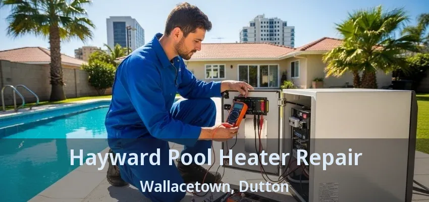 Hayward Pool Heater Repair Wallacetown, Dutton - ON