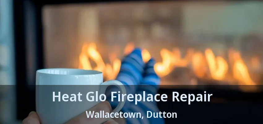 Heat Glo Fireplace Repair Wallacetown, Dutton - ON