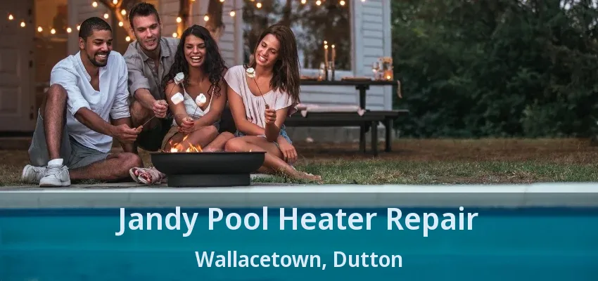 Jandy Pool Heater Repair Wallacetown, Dutton - ON
