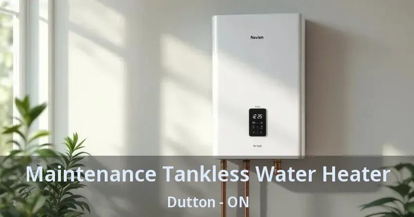 Maintenance Tankless Water Heater Dutton - ON Maintenance Tankless Water Heater Dutton - ON