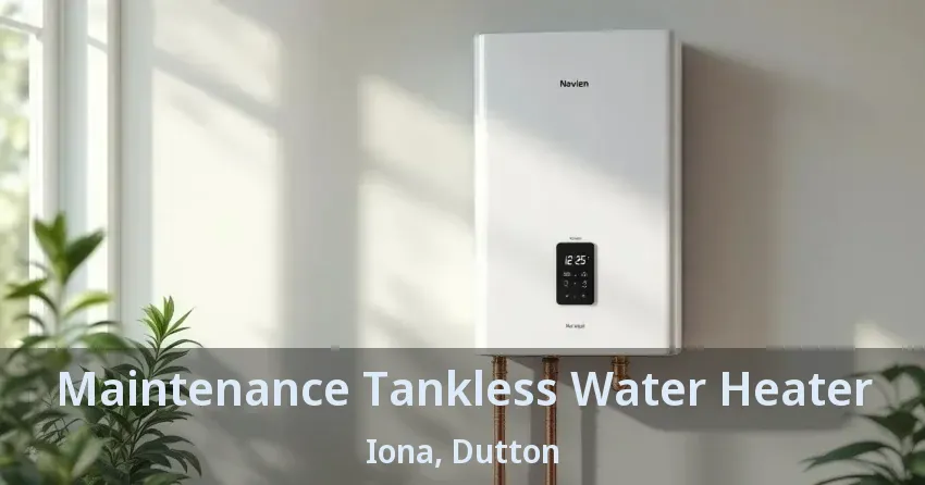 Maintenance Tankless Water Heater Iona, Dutton - ON
