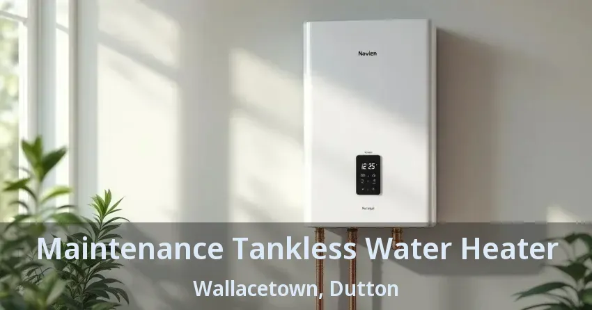 Maintenance Tankless Water Heater Wallacetown, Dutton - ON Maintenance Tankless Water Heater Wallacetown, Dutton - ON