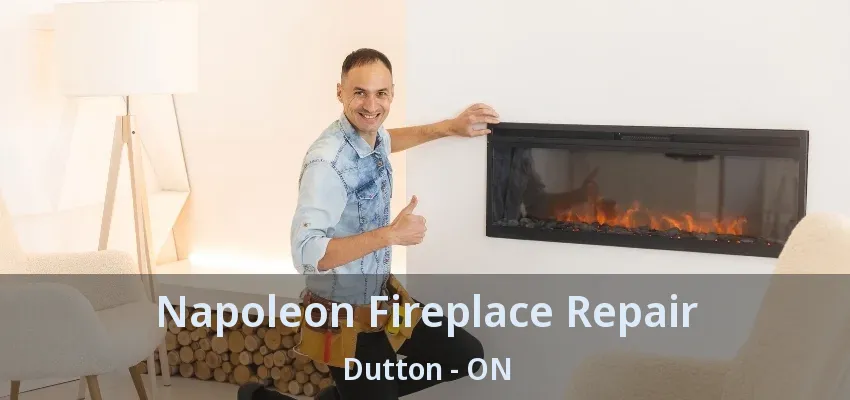 Napoleon Fireplace Repair Dutton - ON