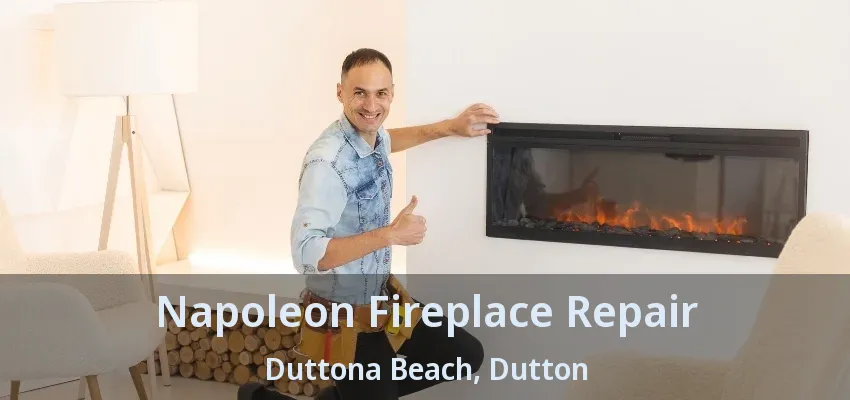 Napoleon Fireplace Repair Duttona Beach, Dutton - ON