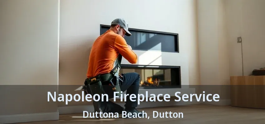 Napoleon Fireplace Service Duttona Beach, Dutton - ON