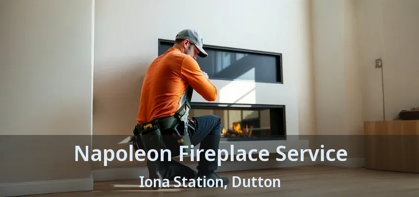 Napoleon Fireplace Service Iona Station, Dutton - ON