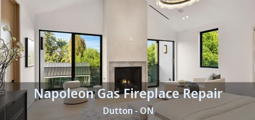 Napoleon Gas Fireplace Repair Dutton - ON