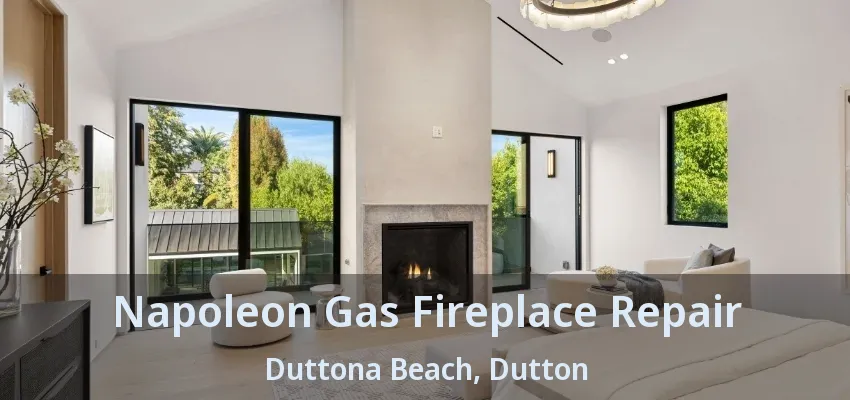 Napoleon Gas Fireplace Repair Duttona Beach, Dutton - ON