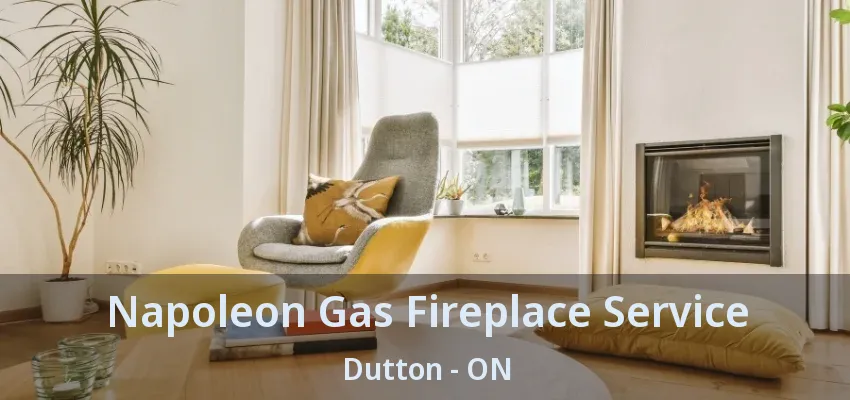 Napoleon Gas Fireplace Service Dutton - ON