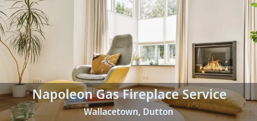 Napoleon Gas Fireplace Service Wallacetown, Dutton - ON