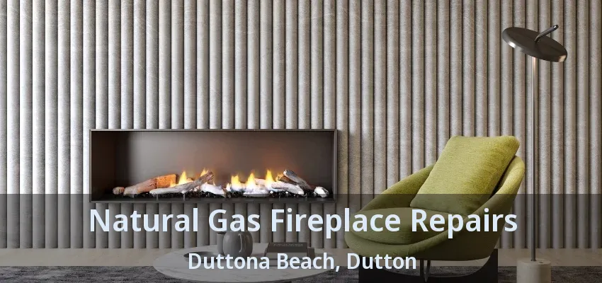 Natural Gas Fireplace Repairs Duttona Beach, Dutton - ON Natural Gas Fireplace Repairs Duttona Beach, Dutton - ON