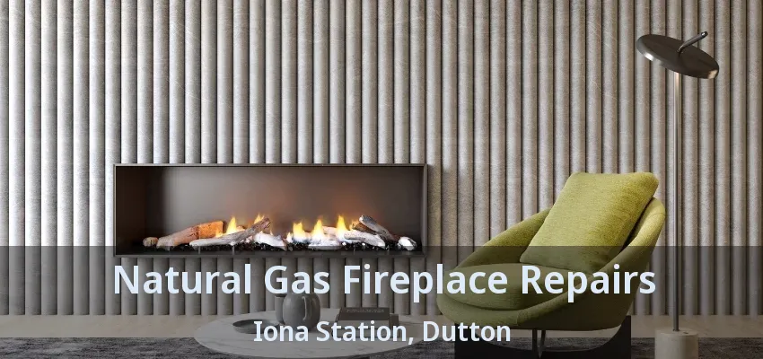 Natural Gas Fireplace Repairs Iona Station, Dutton - ON