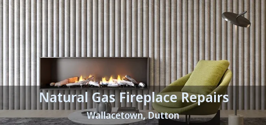 Natural Gas Fireplace Repairs Wallacetown, Dutton - ON