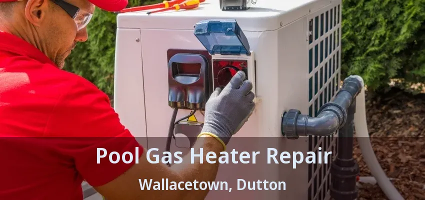 Pool Gas Heater Repair Wallacetown, Dutton - ON