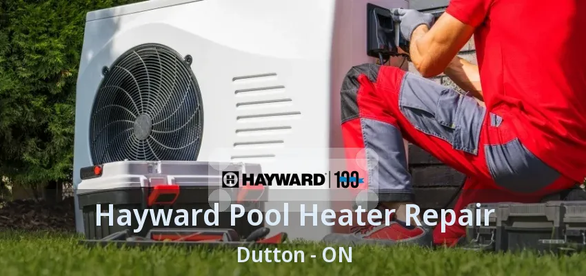 Hayward Pool Heater Repair Dutton - ON Hayward Pool Heater Repair Dutton - ON
