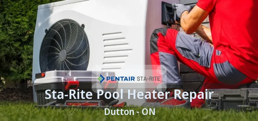 Sta-Rite Pool Heater Repair Dutton - ON Sta-Rite Pool Heater Repair Dutton - ON