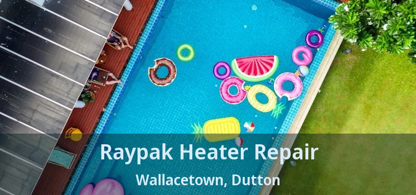 Raypak Heater Repair Wallacetown, Dutton - ON