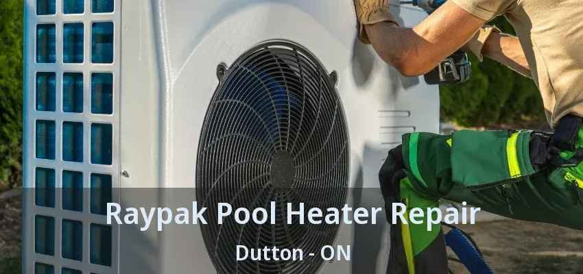 Raypak Pool Heater Repair Dutton - ON Raypak Pool Heater Repair Dutton - ON