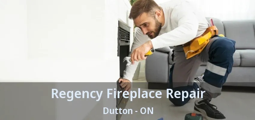 Regency Fireplace Repair Dutton - ON