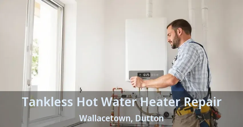 Tankless Hot Water Heater Repair Wallacetown, Dutton - ON