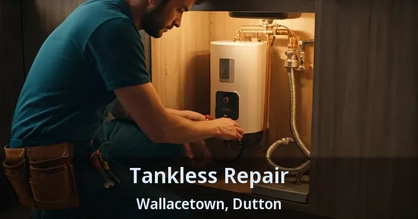 Tankless Repair Wallacetown, Dutton - ON Tankless Repair Wallacetown, Dutton - ON