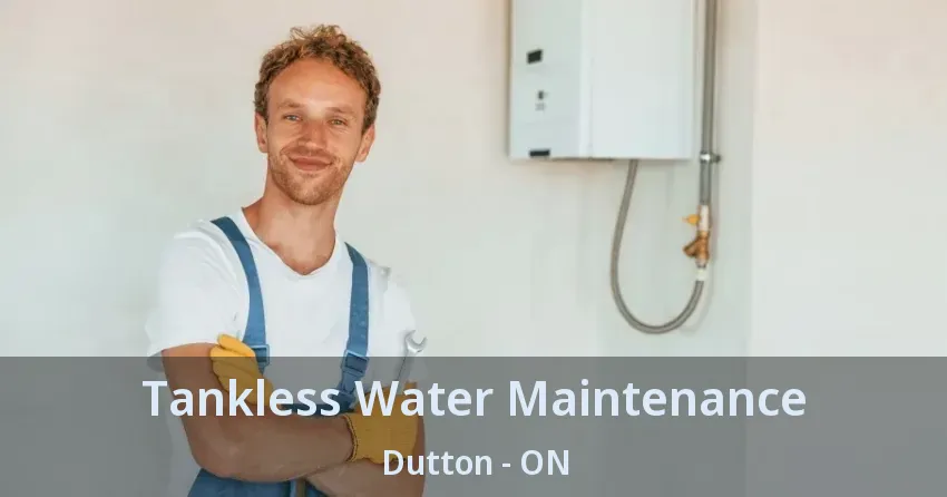 Tankless Water Maintenance Dutton - ON