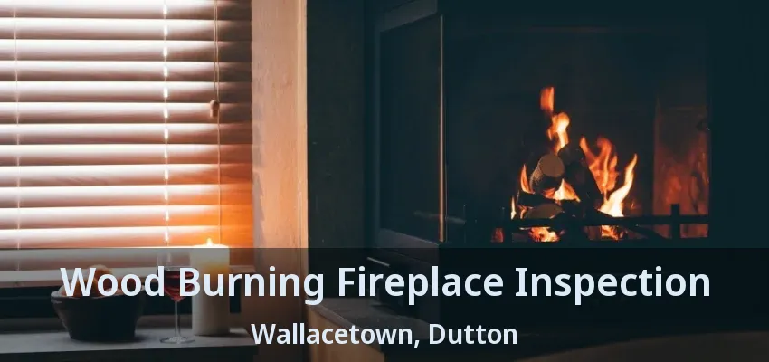 Wood Burning Fireplace Inspection Wallacetown, Dutton - ON