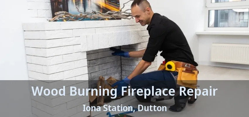 Wood Burning Fireplace Repair Iona Station, Dutton - ON